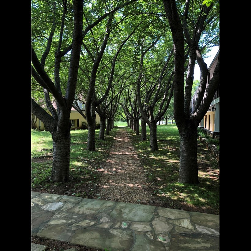 A view of the grounds at the Awards Retreat location in Virginia
